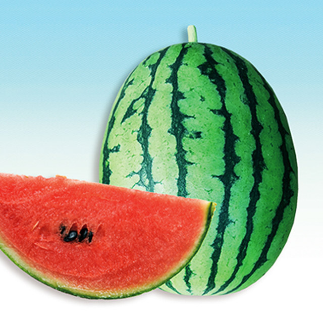 Seedling seeds are easy to manage and easy to plant after sales.