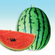 Seedling seeds are easy to manage and easy to plant after sales.