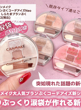 CANMAKE卧蚕眼影01040506N02