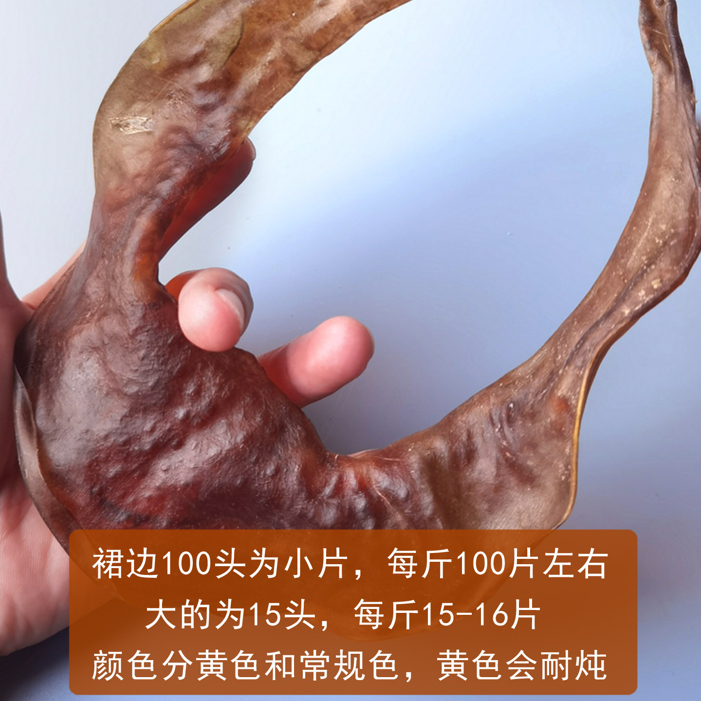 天然甲鱼水鱼团鱼裙边唇边干货煲汤焖煮炒营养好味道100-15头靓货,淘宝优惠券,粉丝福利购,淘宝优惠卷