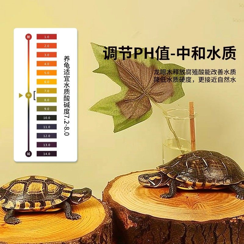 原生态天然龙眼木乌龟晒背台造景沉木悬浮爬坡立体防腐皮腐甲沉木,淘宝优惠券,粉丝福利购,淘宝优惠卷