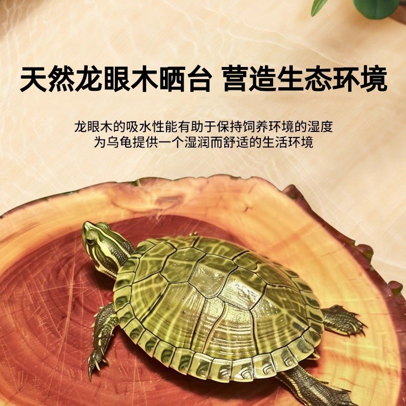 原生态天然龙眼木乌龟晒背台造景沉木悬浮爬坡立体防腐皮腐甲沉木,淘宝优惠券,粉丝福利购,淘宝优惠卷