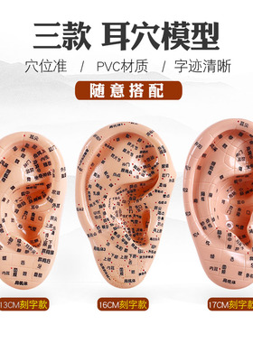 耳穴贴王不留行籽耳朵埋压豆按摩贴防过敏磁珠穴位模型探笔反射区