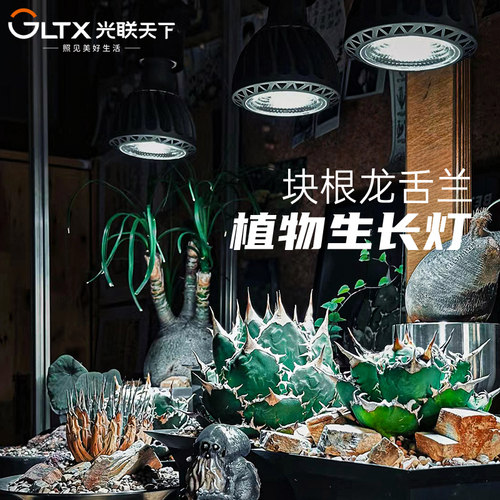 光联天下植物补光灯led轨道射灯全光谱龙舌兰块根仙人球生长灯30W - 图0