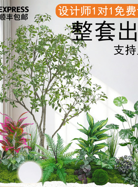 仿真马醉木枫树仿生绿植