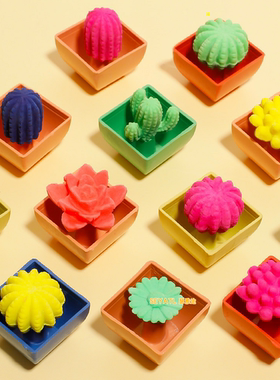 SEYATL真仙人掌植物泡水变大膨胀