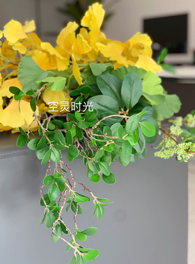 花卉会所婚庆绿植拍摄道具树枝