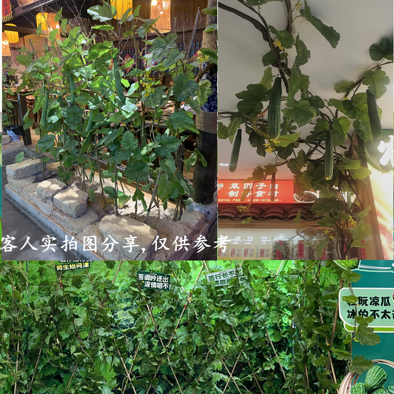 仿真南瓜藤西瓜丝瓜藤大叶藤假植物藤条绿色叶藤田园缠绕挂藤造景-图3