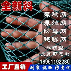 Спортивная сеть/периметр 养殖网养鸡网尼龙网拦鸡围鸡网家禽塑料网护栏菜园围网防护网