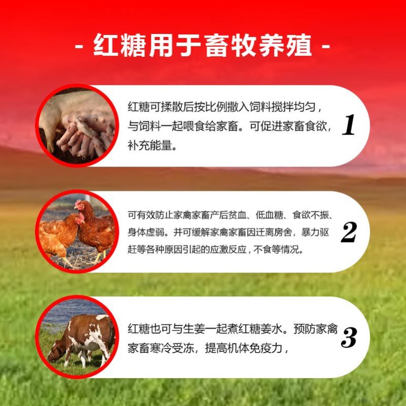 水产养殖专用红糖农业种植EM畜牧养殖红糖发酵用红糖水产红糖50斤 - 图3