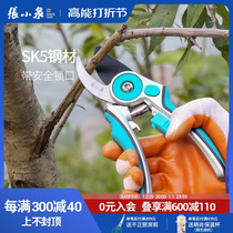 Zhang Koizumi Shuzhi Branch Scissors Fruit Tree Gardening landscaping garden sapwood labor-saving pruner SK5 steel tool Divine Instrumental Flagship Store