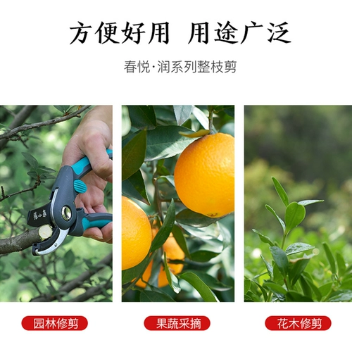 Чжан Сяокуан, Резьчные ножницы, ветви, фруктовые цветочные режущие сад