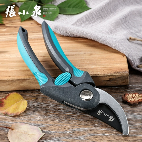 Чжан Сяокуан, Резьчные ножницы, ветви, фруктовые цветочные режущие сад