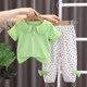 女童套装夏季短袖2025新款夏装洋气时髦薄款儿童网红宝宝纯棉衣服
