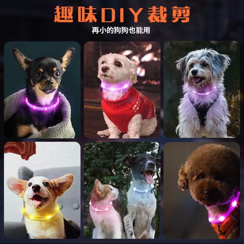 LaRoo莱诺F35狗狗发光项圈猫咪宠物夜间遛狗灯脖套大中小型犬脖圈 - 图0