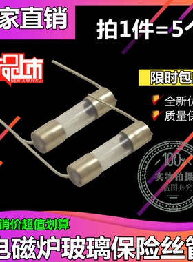 （拍1发5）5X20MM电磁炉陶瓷保险丝管F带引线T双帽10A 250V带引脚