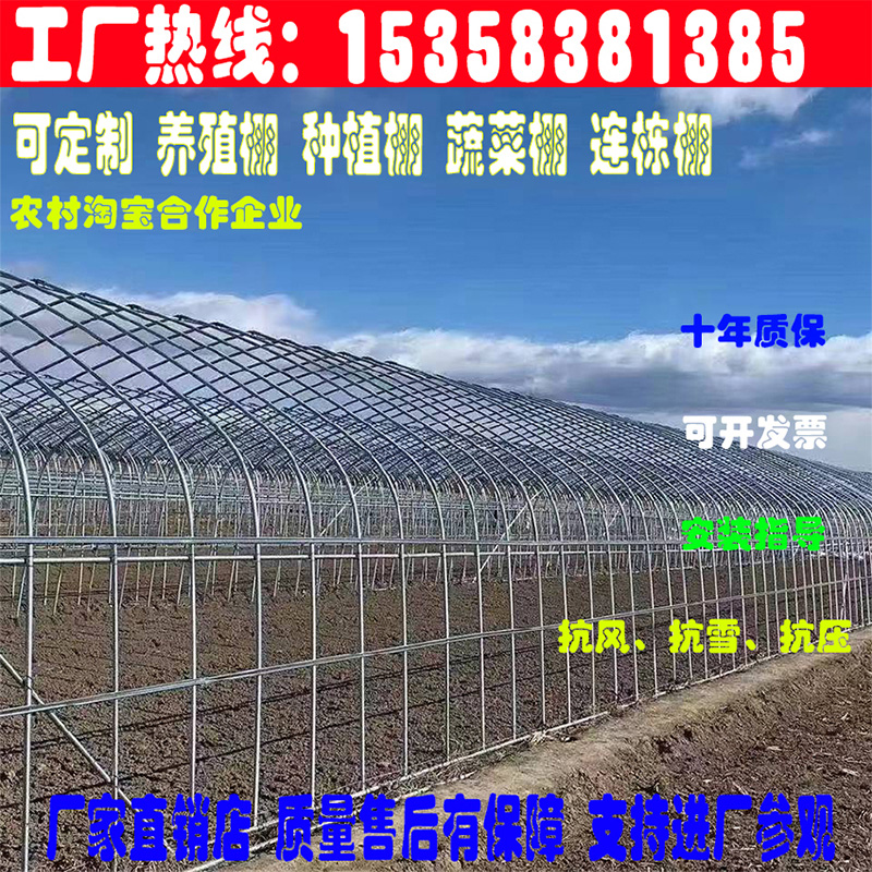 新型温室养殖大棚骨架钢管全套保温蔬菜连栋椭圆管鸡牛羊大棚简易