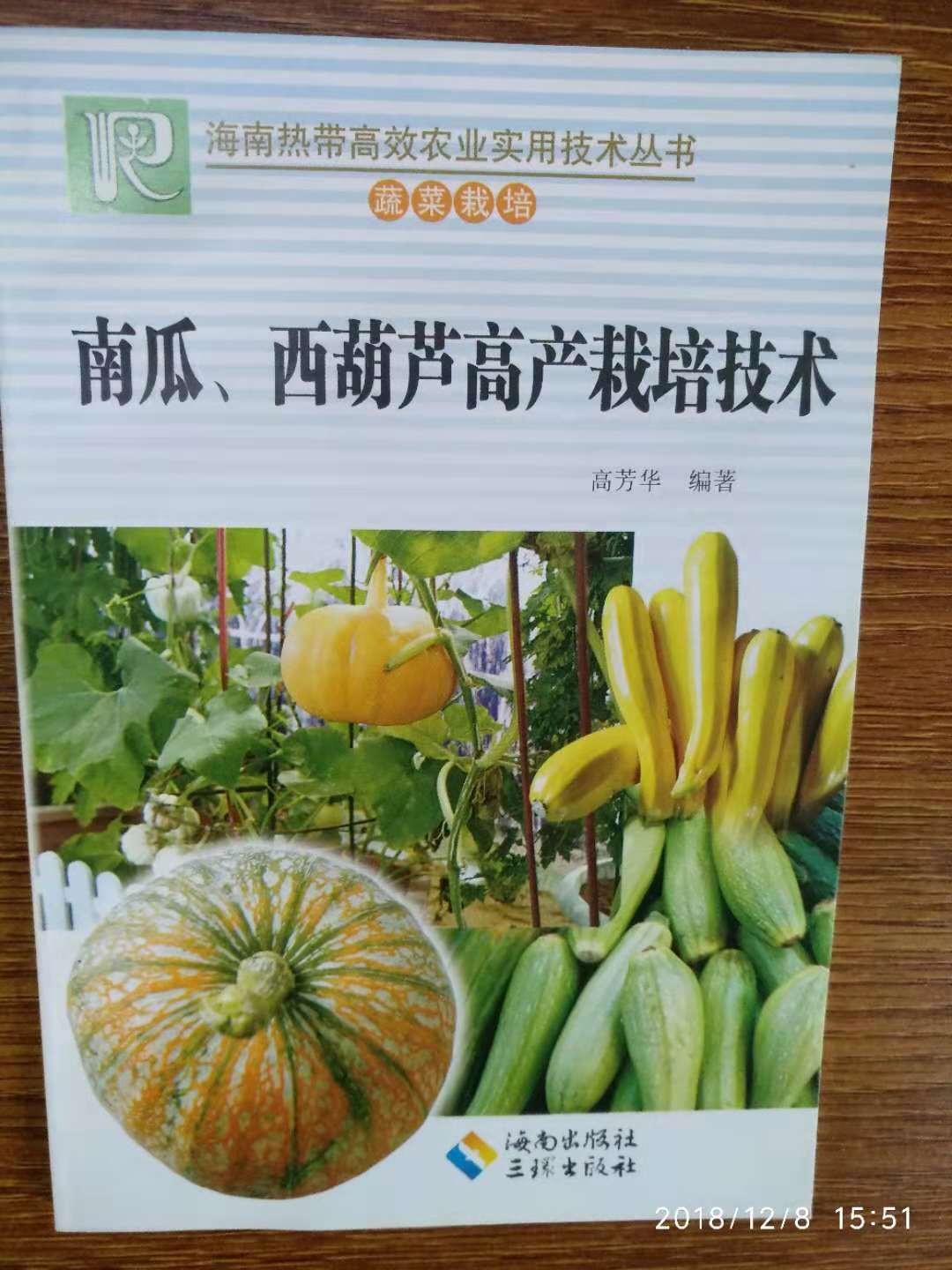 南瓜种植技术 新人首单立减十元 22年2月 淘宝海外