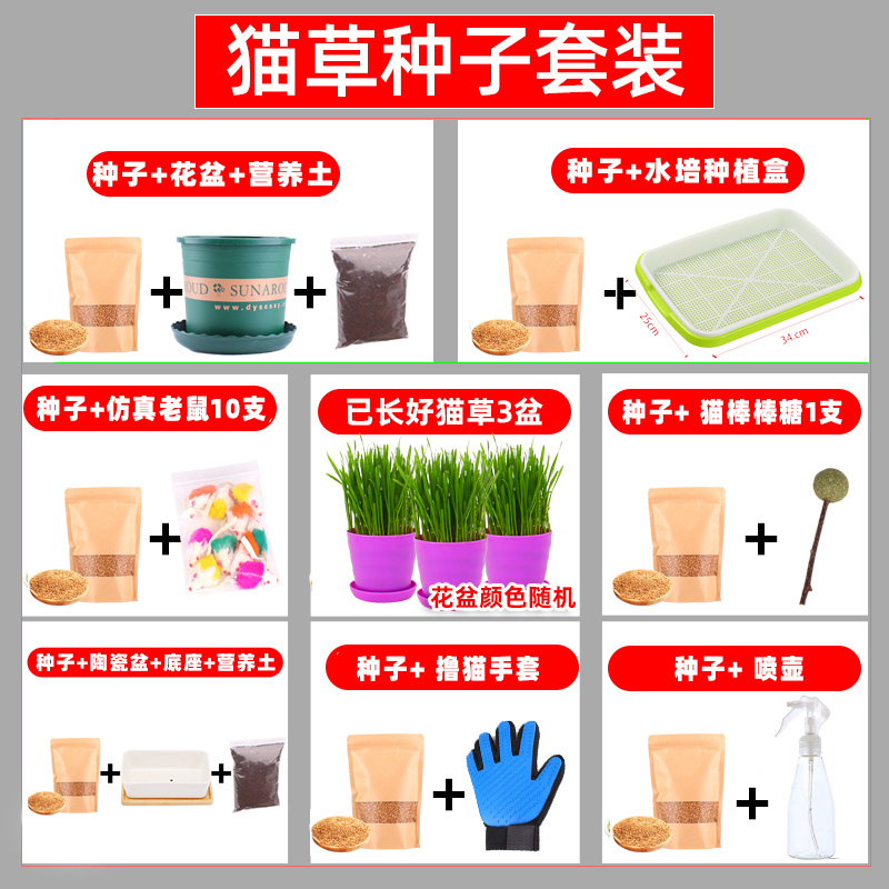猫草种子小麦无土水培种植猫草猫咪吃的化毛去毛球助消化猫麦草籽 宠喵者联盟 淘优券 猫草种子小麦无土水培种植猫草猫咪吃的化毛去毛球助消化猫麦草籽 宠喵者联盟 淘优券