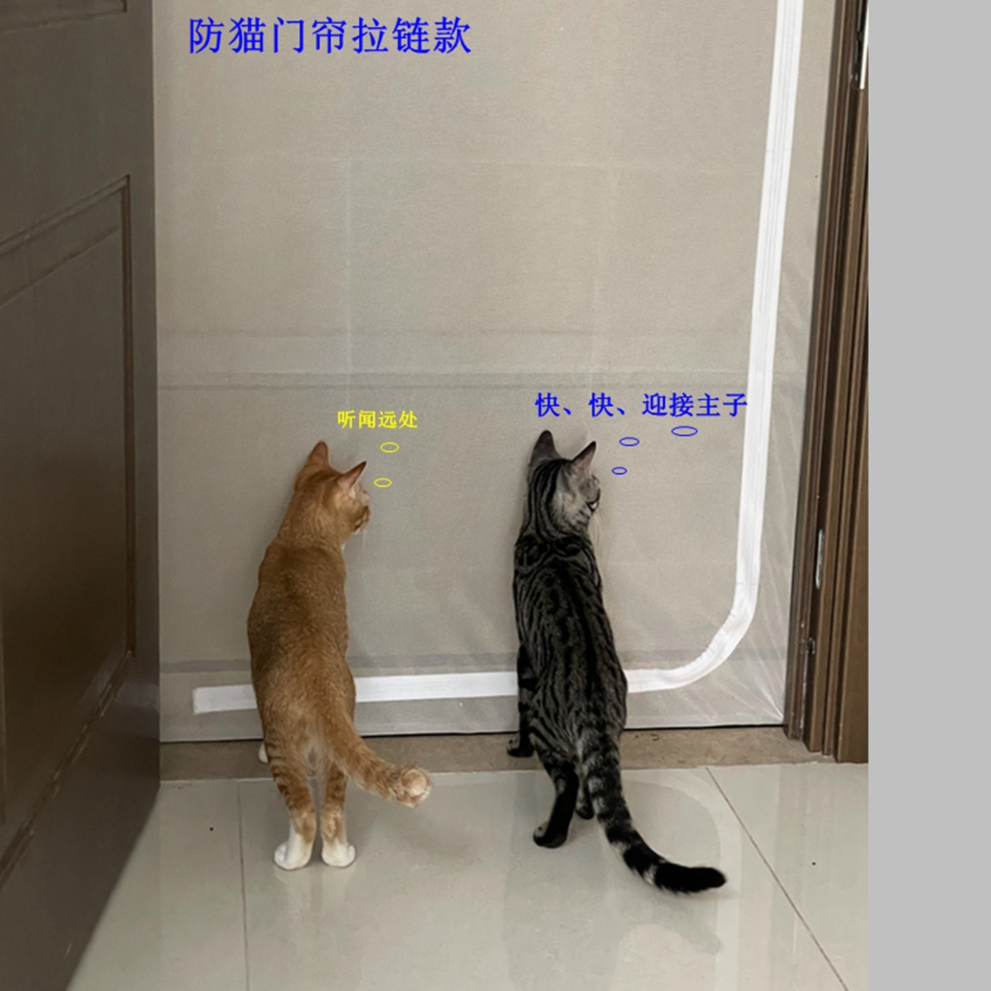 防猫门栏挡猫网防猫门帘拉链纱门免打孔客厅隔断帘订制宠物纱窗门,淘宝优惠券,粉丝福利购,淘宝优惠卷