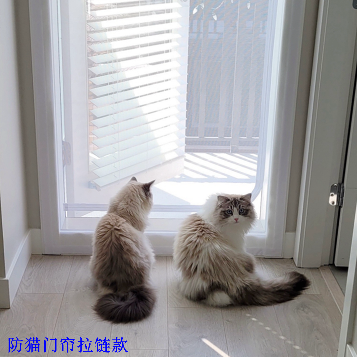 防猫门栏挡猫网防猫门帘拉链纱门免打孔客厅隔断帘订制宠物纱窗门,淘宝优惠券,粉丝福利购,淘宝优惠卷