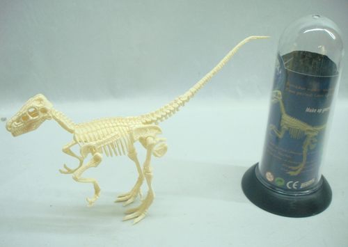 正品特价 4D拼装恐龙模型拼插恐龙化石骨架模型 6款恐龙骨骼长筒-图2
