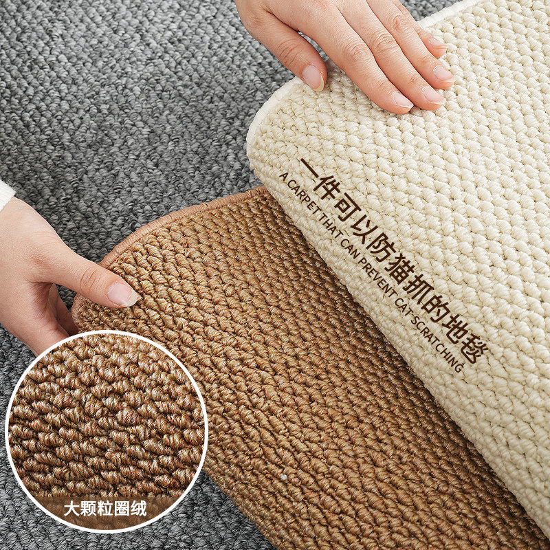 Anti-cat scratch living room bedroom bedside carpet