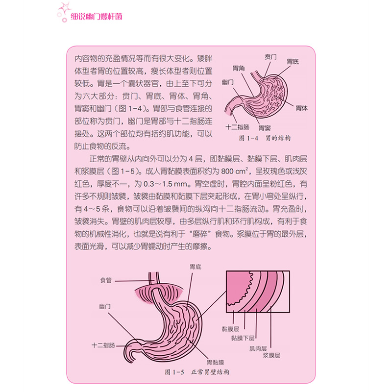 细说幽门螺旋杆菌保志军主编幽门螺旋杆菌感性疾病治疗与预防知识普及消化系统溃疡胃癌胃肠道疾病医学书籍世界图书出版公司-图2