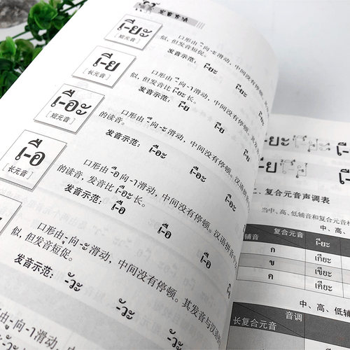 基础泰语1+泰语字母书写练习册(附音频)廖宇夫编著大学泰语基础泰语教程教材零基础自学泰语入门书泰国语文练字帖 世界图书出版社 - 图1
