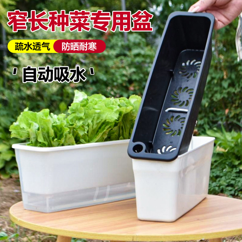 窄盆草莓专用盆阳台种菜神器家用透明种植盆长方形懒人自吸水盆,淘宝优惠券,粉丝福利购,淘宝优惠卷