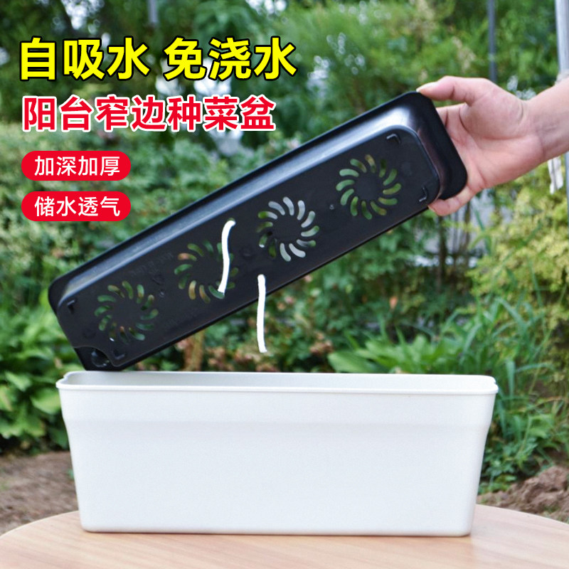 窄盆草莓专用盆阳台种菜神器家用透明种植盆长方形懒人自吸水盆,淘宝优惠券,粉丝福利购,淘宝优惠卷