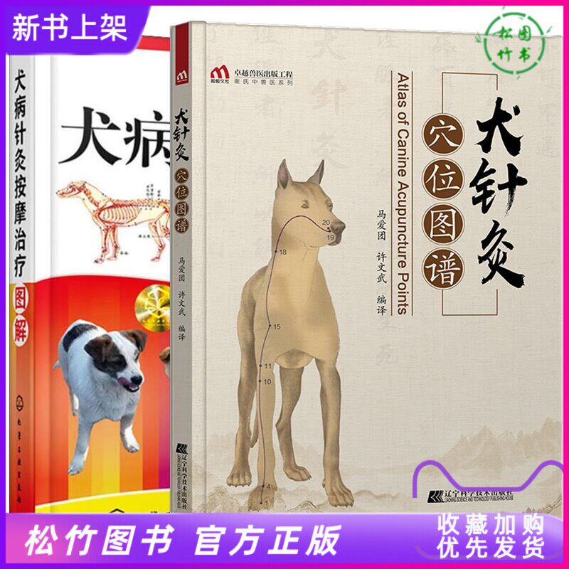 穴位图狗 新人首单立减十元 21年12月 淘宝海外