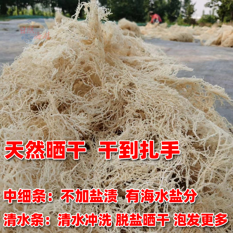 龙须菜干货500g淡干新鲜非无盐特级海草鹿角菜珊瑚草干凉拌石花菜-图0