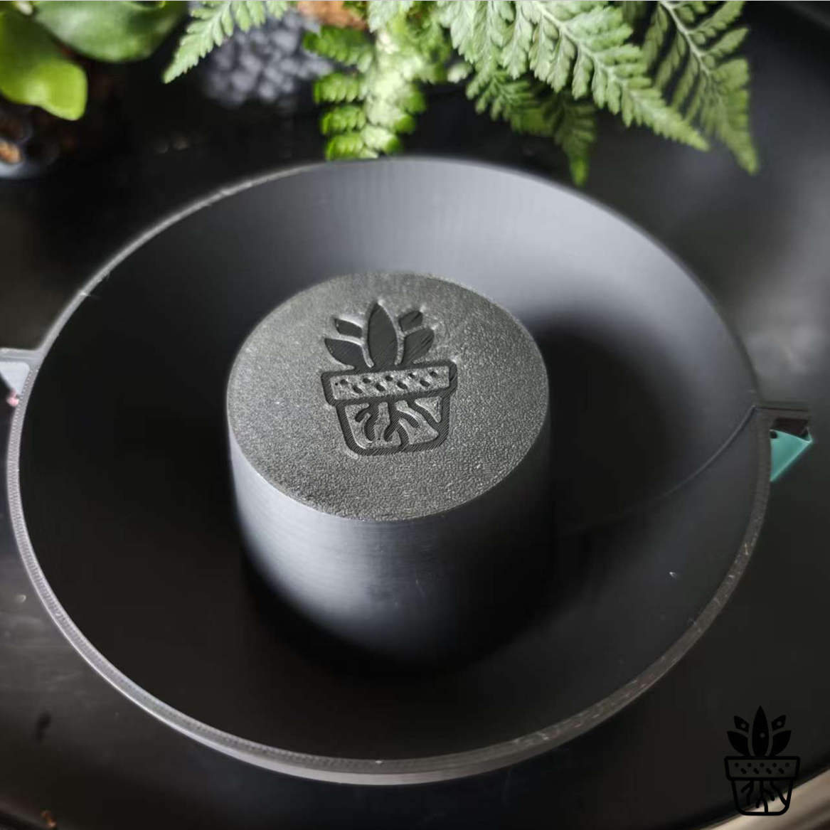 鹿角蕨水苔球上板模具上板神器毛毛虫挂板模具 附生植物 南美兰,淘宝优惠券,粉丝福利购,淘宝优惠卷