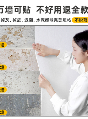 掉灰墙专用墙纸防潮防霉墙围遮丑