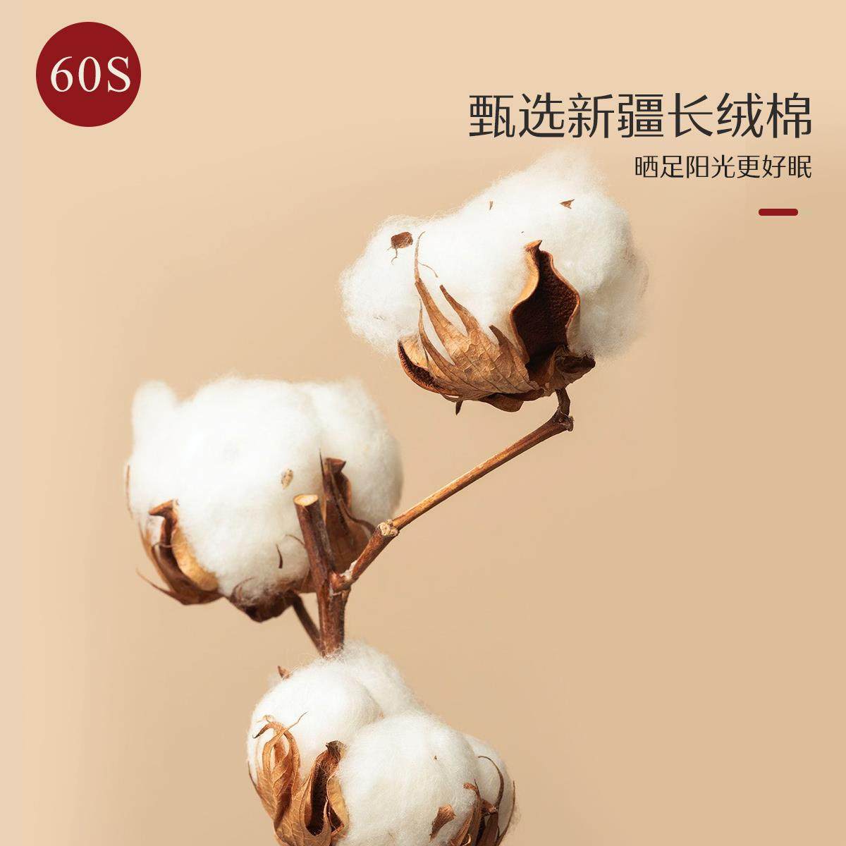 水星家纺60S长绒棉婚庆六件套大红结婚套件刺绣床单被套全棉床品,淘宝优惠券,粉丝福利购,淘宝优惠卷