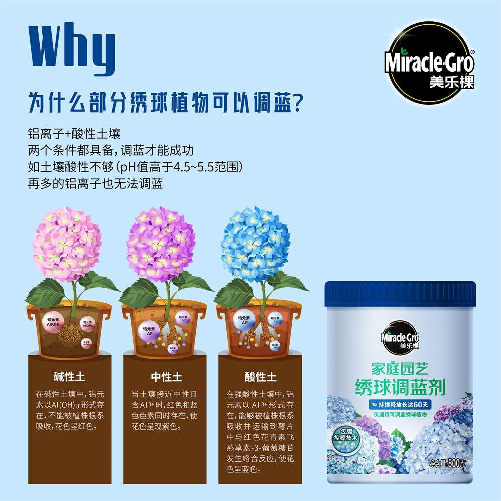 美乐棵家用花卉型硫酸铝绣球调蓝调色剂土壤调酸 水溶肥养花肥料,淘宝优惠券,粉丝福利购,淘宝优惠卷