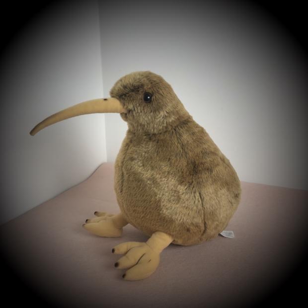 仿真几维鸟奇异鸟毛绒玩具公仔新西兰国鸟类动物 新西兰纪念品 - 图1