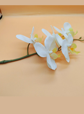 花笺令舞蹈道具舞蹈道具仿真花假花花束舞蹈练习道具