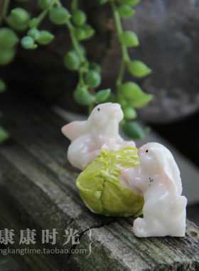 康康时光兔子系列摆件微景观装饰