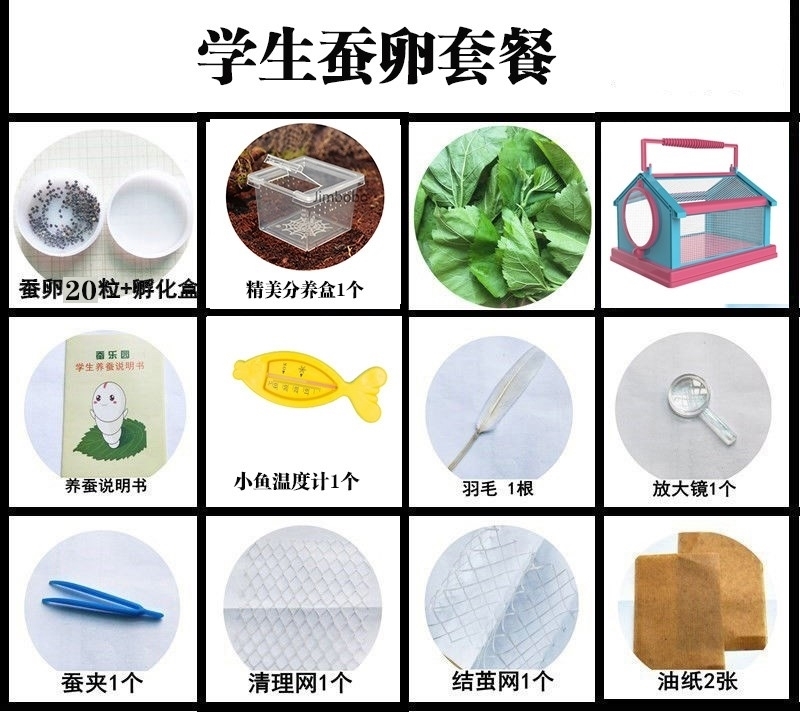 蚕宝宝的窝房子别墅养蚕盒学生养蚕套装桑叶新鲜喂蚕结茧网工具 - 图2