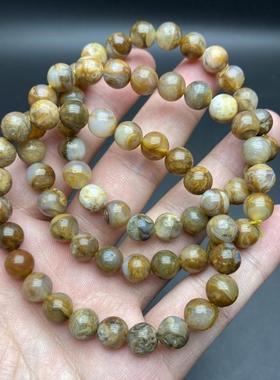 法罗手串海螺化石饰品