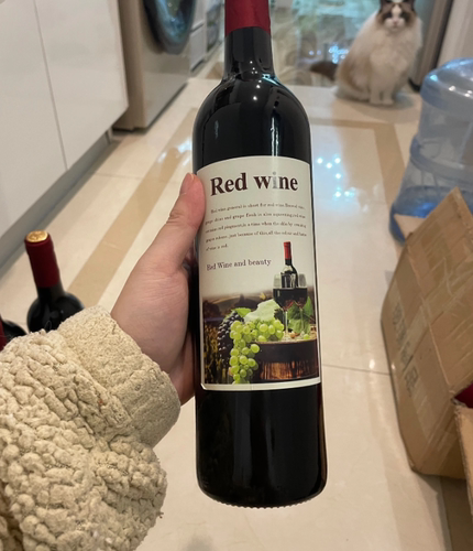 葡萄酒瓶红酒瓶空瓶 果酒桑葚酒自酿酒玻璃瓶 500750ml可加工装饰 - 图0