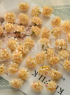沁园春香槟仿真花头diy手工材料包手作簪花头饰花环发簪裙撑装饰