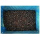 South American Gem Flame Dried Raisins 10kg Whole Box Baked