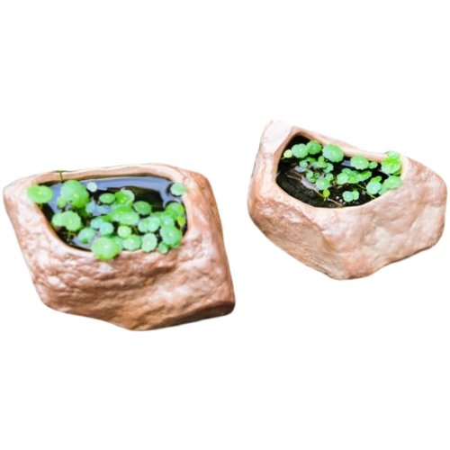 陶瓷仿石头无孔水培花盆鱼缸水槽造景石土培多肉吸水花器桌面摆件