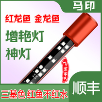 Maprint God Lamp Brightening Lamp Triple Base Color Toasted Color Lamp Hair Color Light Color color Dragon Fish Golden Dragon Fish Red Dragon Fish Special Lamp