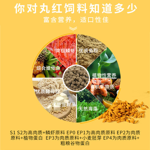 日清鱼饲料丸红B2孔雀鱼B1红丸S1七彩C1幼鱼开口鱼粮日本进口鱼食 - 图0