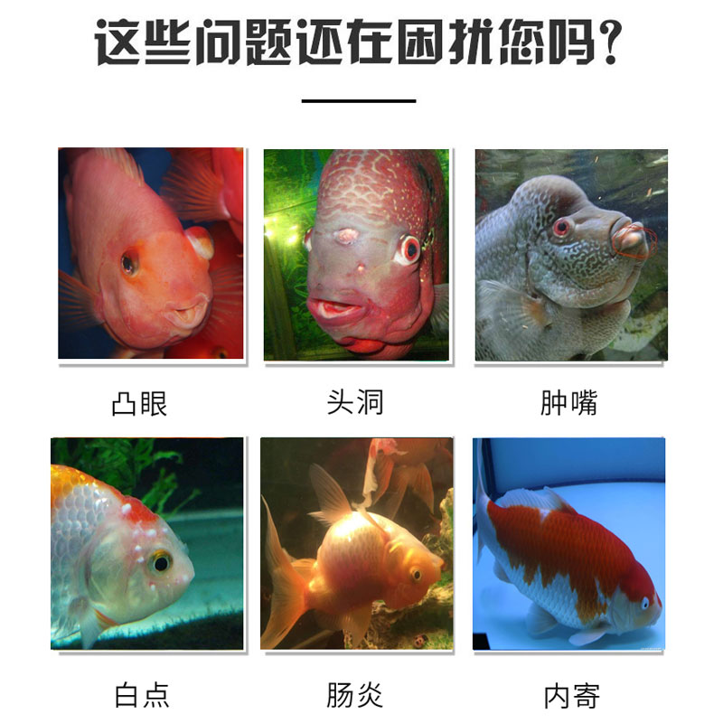 甲硝唑鱼药金鱼锦鲤龙鱼内寄虫外寄头洞病厌食凸眼肠炎锉粉剂鱼药 大明水族店 淘优券