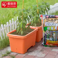 菜园用品 新人首单立减十元 21年7月 淘宝海外 菜园用品 新人首单立减十元 21年7月 淘宝海外